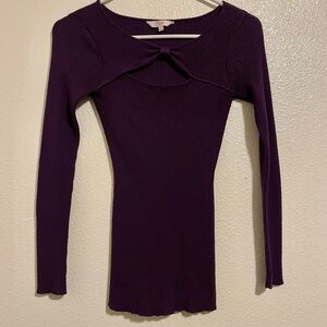 Elegant Purple Women's Fitted Sweater